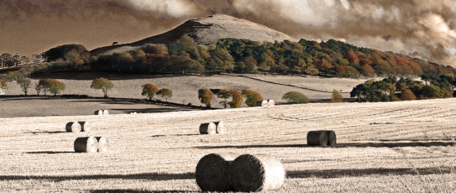 Harvest Mountain